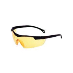 Executive Choice Spectacles